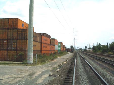 z_norfolk