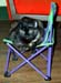 cat_chair