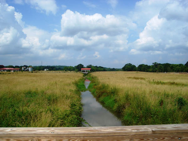 DSC04035