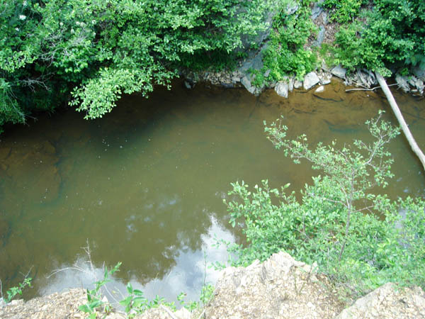 DSC04075
