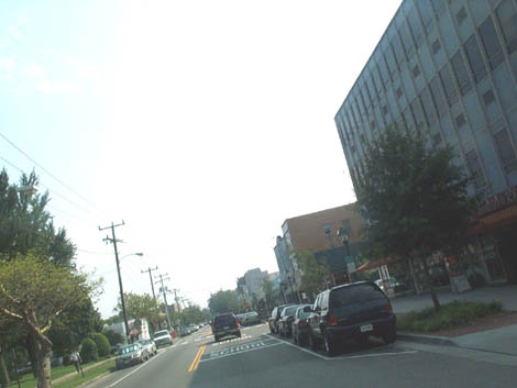 colleyave