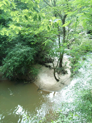 DCP_3433