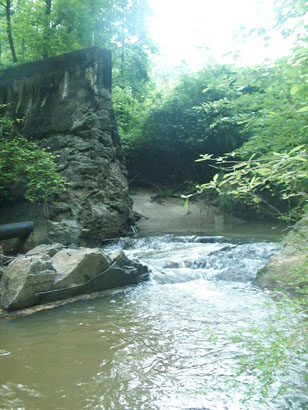 DCP_3435
